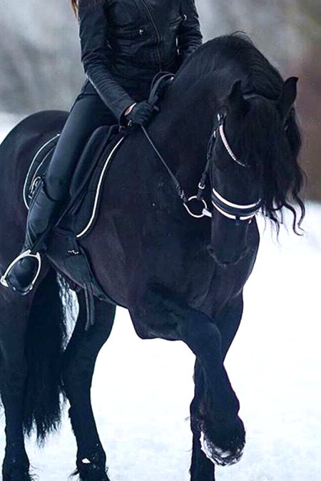 Beautiful Nature image