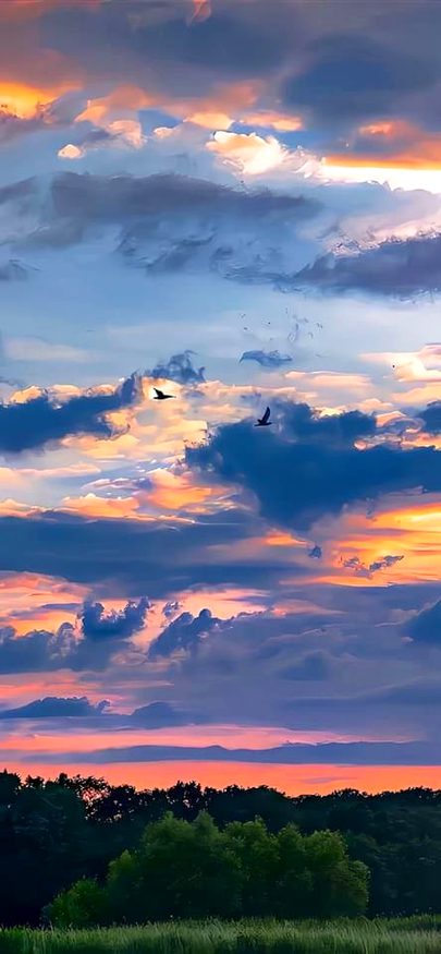 Beautiful Nature image