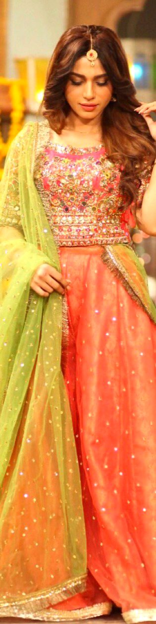 Pakistani Celebs image