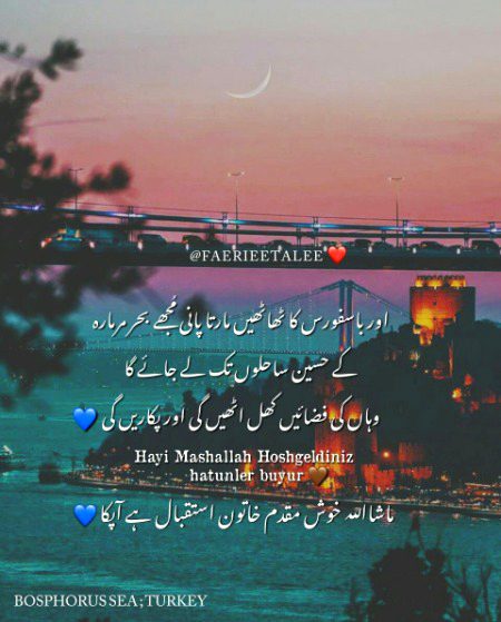 Attitude Quotes image