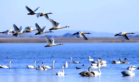 Beautiful Nature image