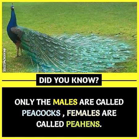 Interesting Posts image