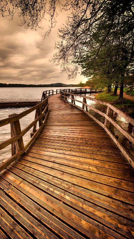 Beautiful Nature image