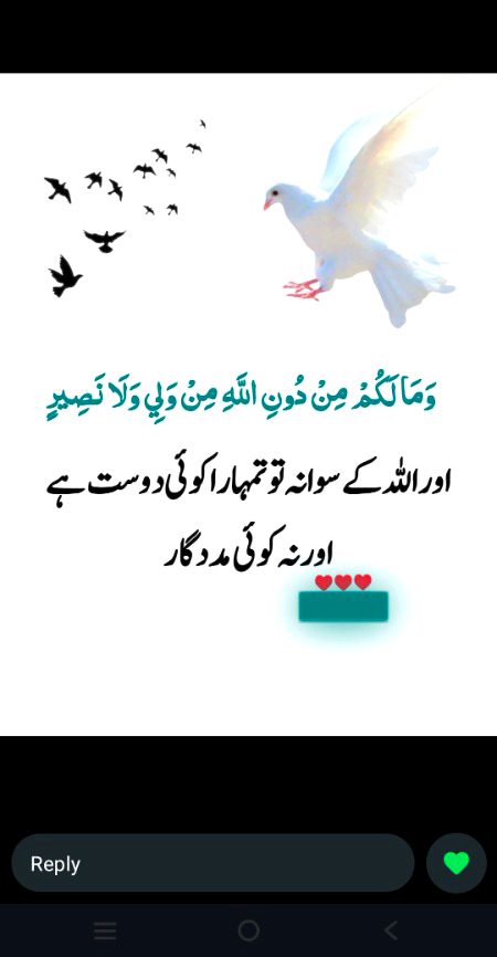 Islamic Quotes image