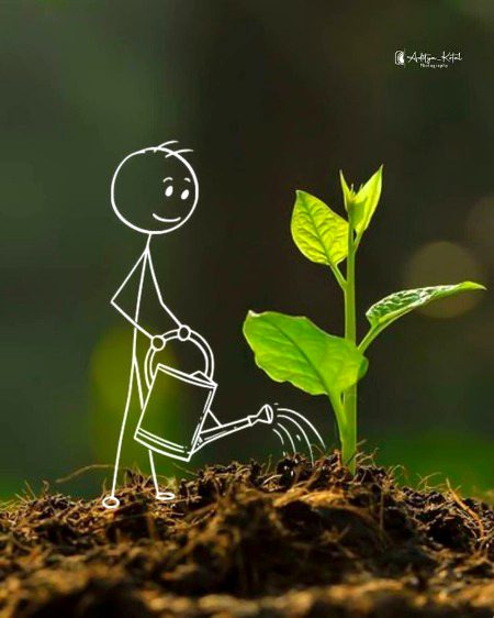 Beautiful Nature image