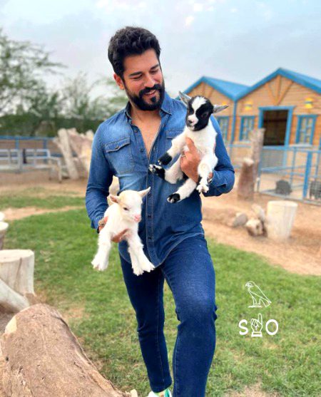 Turkish Celebs image