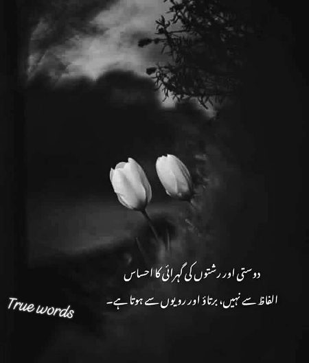 Saanaam ❣️❣️
zmeer frosh nh. . ba zmeer bn. 
ahsan framosh nh. . ahsan mnd bn. .