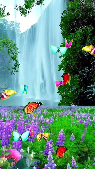 Beautiful Nature image