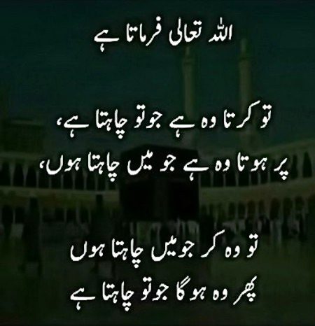 Islamic Quotes image