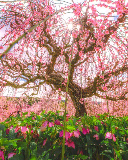 Beautiful nature ❤️❤️❤️