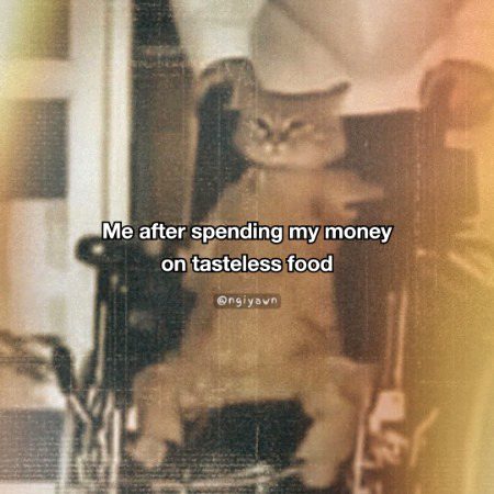 Memes & Satire image