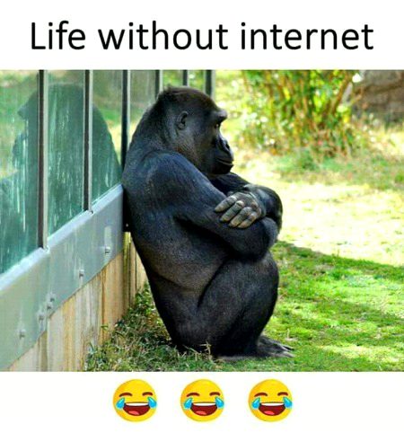 Without internet 😹😹😹