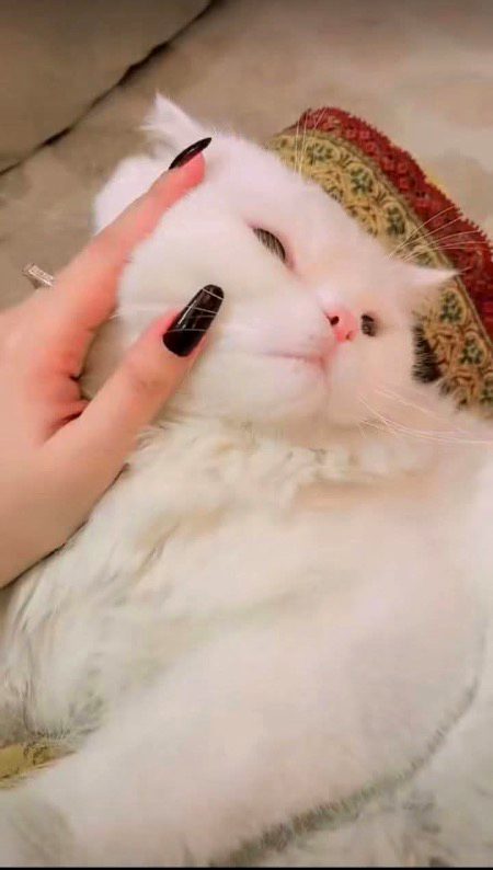 Beautiful Nature image