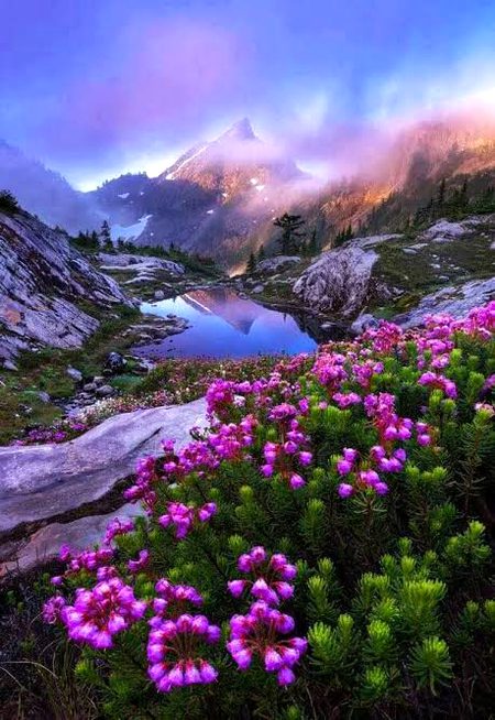 Beautiful Nature image