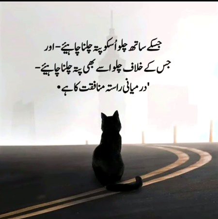 Life Advice image