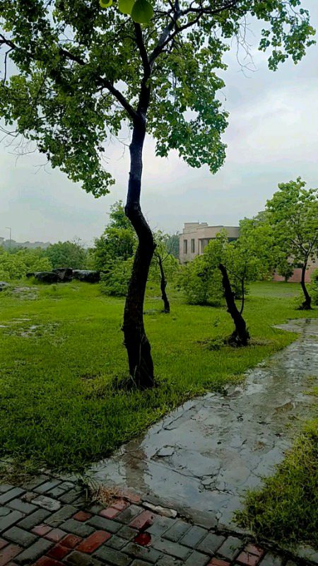 Beautiful Nature image