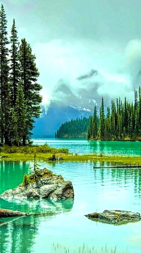 BEAUTIFUL NATURE