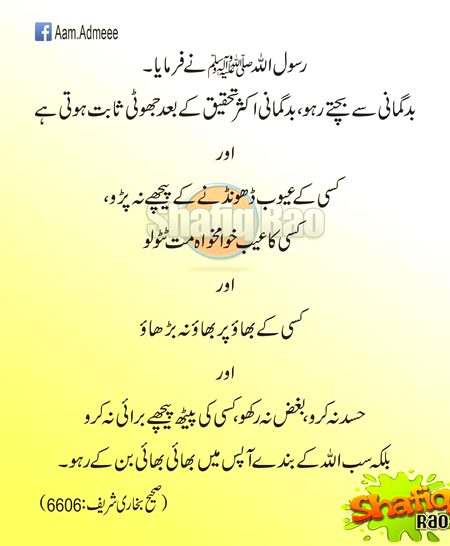 Islamic Quotes image