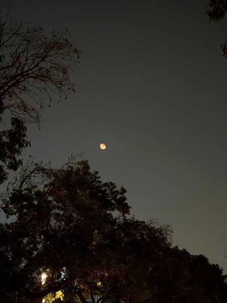 Beautiful Nature image