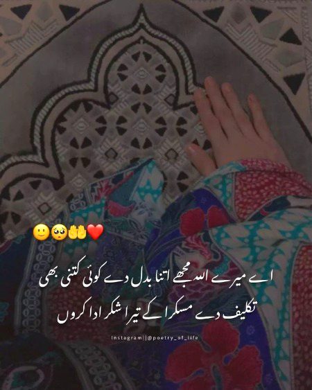 Ameen sumameem 🥺🥹