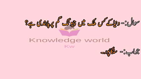 Knowledge Test image