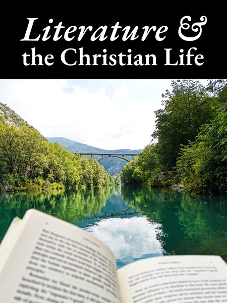 Beautiful Nature image