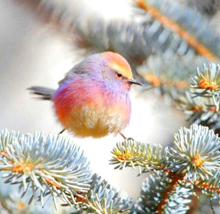 Beautiful Nature image