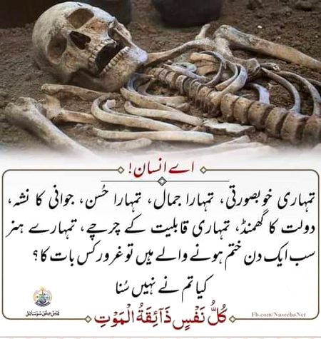 بیشک 💖💖💖💖💖💖