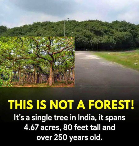 Interesting Posts image