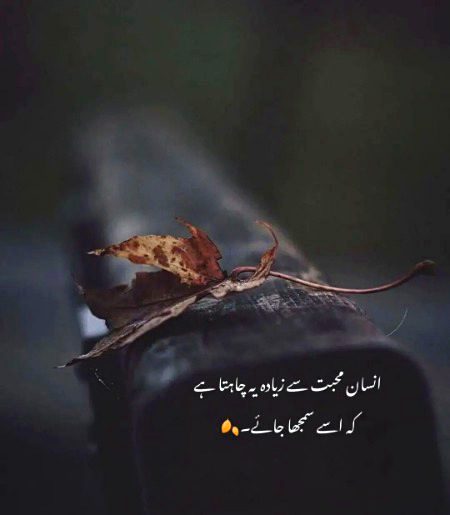 ہے بجا شیوہ تسلیم میں مشہور ہیں ہم۔
قصہ درد سناتے ہیں کہ مجبور ہیں ہم۔
ساز خاموش ہیں فریاد سے معمور ہیں ہم۔
نالہ آتا ہے اگر لب پہ تو معذور ہیں ہم۔
اے خدا شکوۂ ارباب وفا بھی سن لے۔
خوگرِ حمد سے تھوڑا سا گلہ بھی سن لے۔