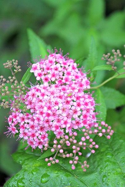 Beautiful Nature image