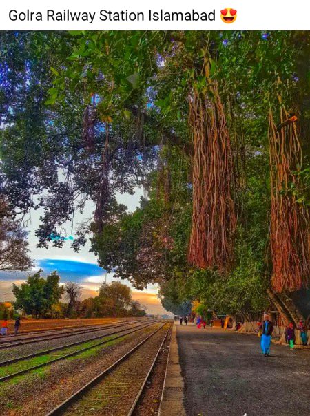 Beautiful Nature image