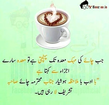 دل چاہتا ہے تجھے چاہے کی پیالی ☕
میں ڈبو ڈبو کے تیری ساری اکڑ نکال دوں..