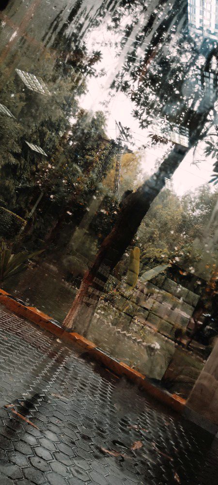 موسم کی ادا آج بھی کیف ہے لیکن
گزری ہوئی برسات کی حسرت نہیں جاتی
🍂