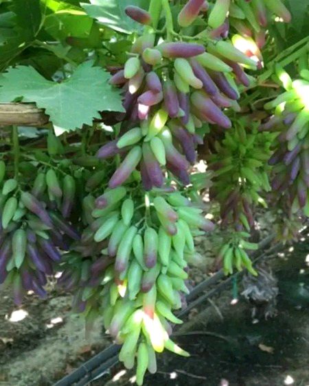 Beautiful Nature image