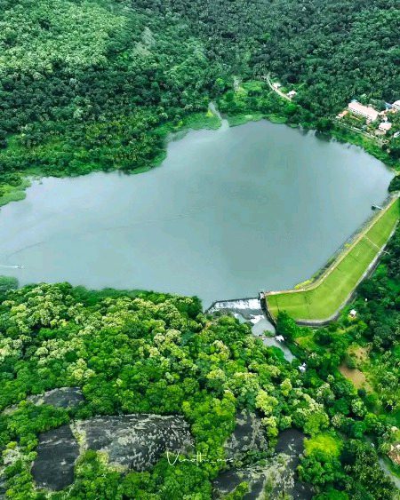 Beautiful Nature image