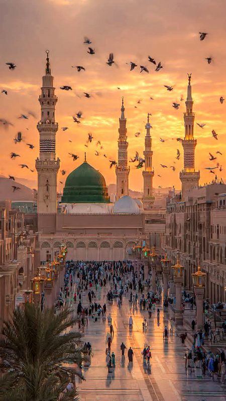 Beautiful Structures image