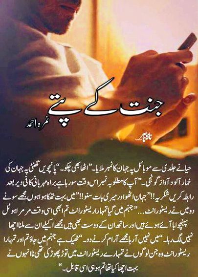 Romantic Novels image