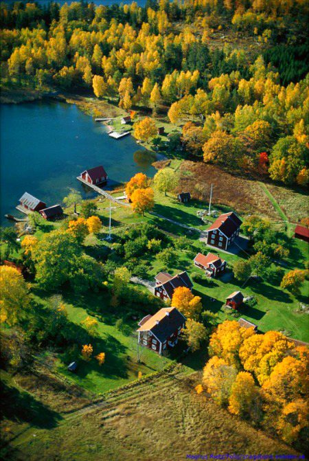 Beautiful Nature image