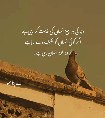 Life Advice image