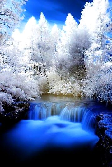 Beautiful Nature image