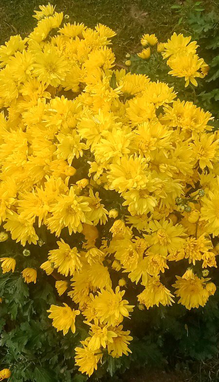 Beautiful Nature image