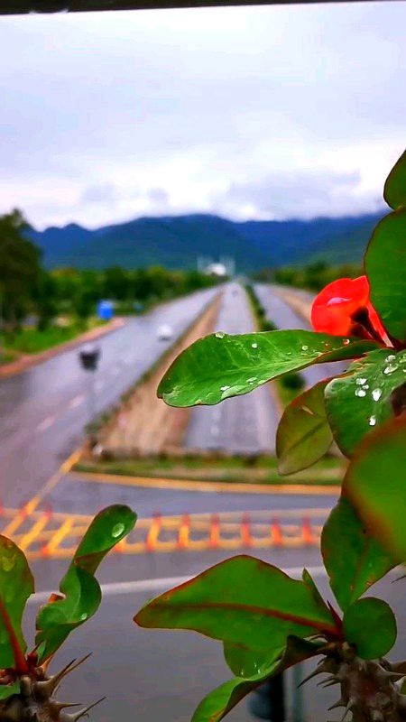 Beautiful Nature image