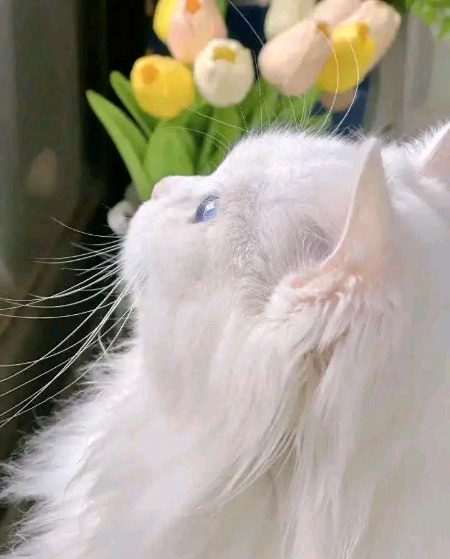 Beautiful Nature image