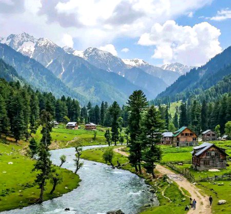 Beautiful Nature image