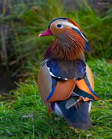 Beautiful Nature image