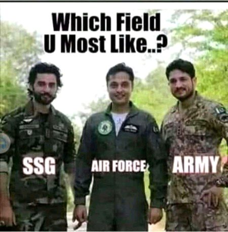 Which field u most like? .d5