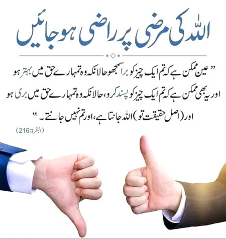 Islamic Quotes image