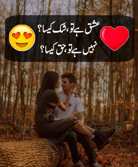 Attitude Quotes image