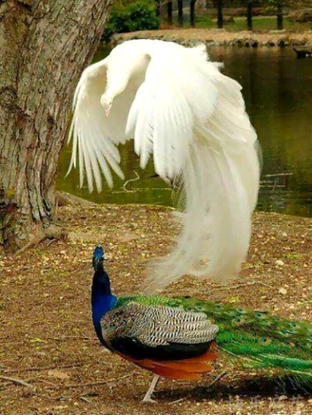 Beautiful Nature image